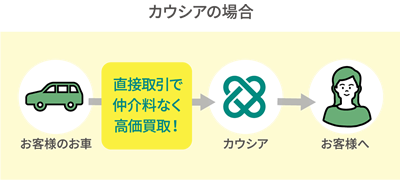 カウシアの場合